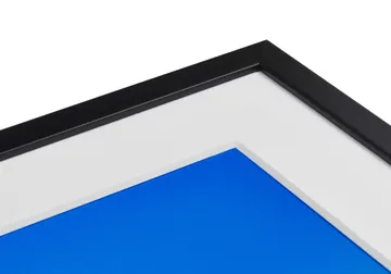 Classic black wood frame corner with white mat