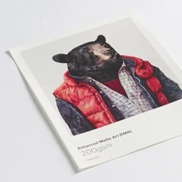 Enhanced Matte Art 200gsm museum-grade paper sample